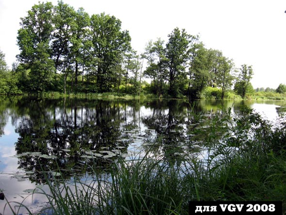озеро Темное в Лунево во Владимире фото vgv