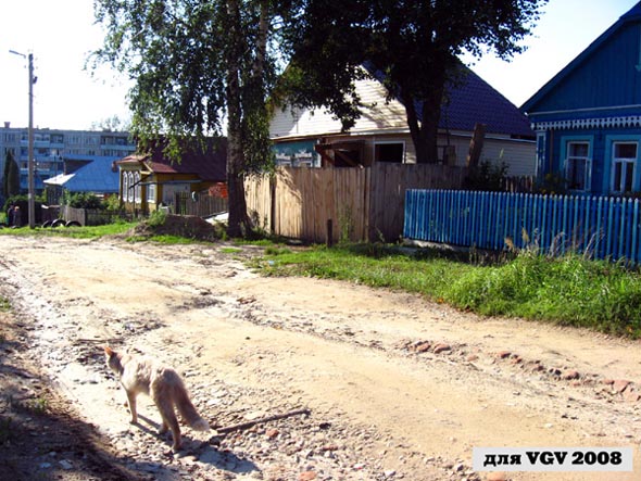 Киса обходит владенья свои ул. Маяковского август 2008 во Владимире фото vgv