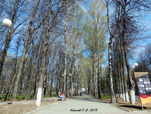 Центральный парк культуры и отдыха во Владимире фото vgv