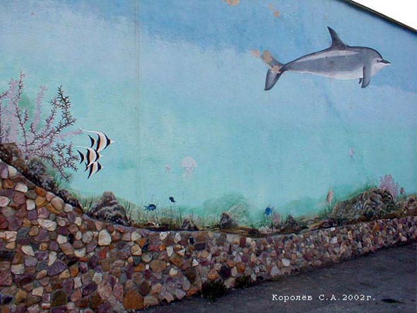 граффити Дельфин в поселке РТС 4а во Владимире фото vgv