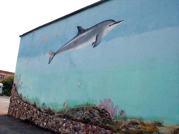 граффити Дельфин в поселке РТС 4а во Владимире фото vgv