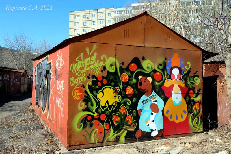 гаражное граффити на Соколова Соколенка 7 во Владимире фото vgv