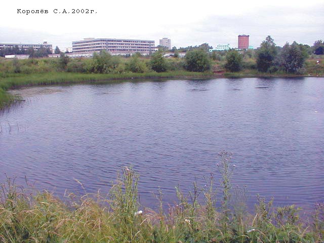 озеро Лебяжье около общежитий ВлГУ во Владимире фото vgv