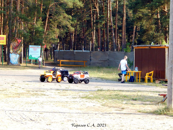 Детские атракционы в Загородном парке во Владимире фото vgv