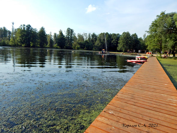 озеро Мелкое - Лягушатник в Загородном парке во Владимире фото vgv