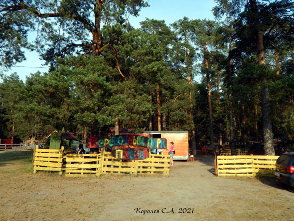 Веревочный парк «Павиан» в Загородном парке во Владимире фото vgv
