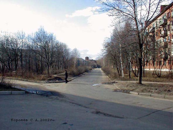 улица Токарева во Владимире фото vgv