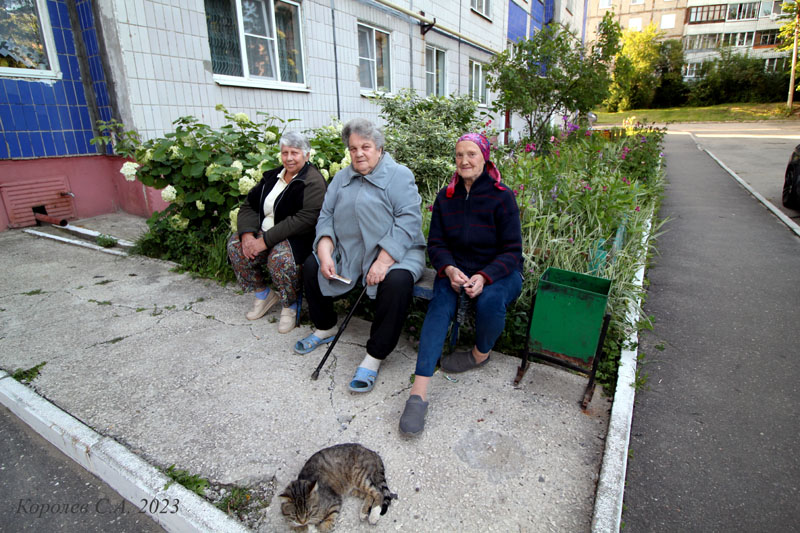 Бабшки на лавочке удрма 13 на улице Василисина май 2023 года во Владимире фото vgv