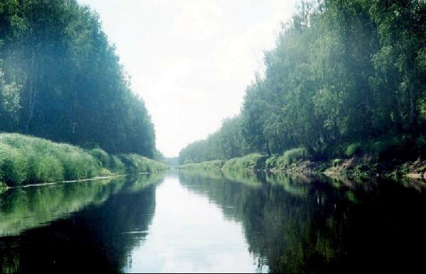 река Лух в Вязниковском районе Владимирской области фото vgv