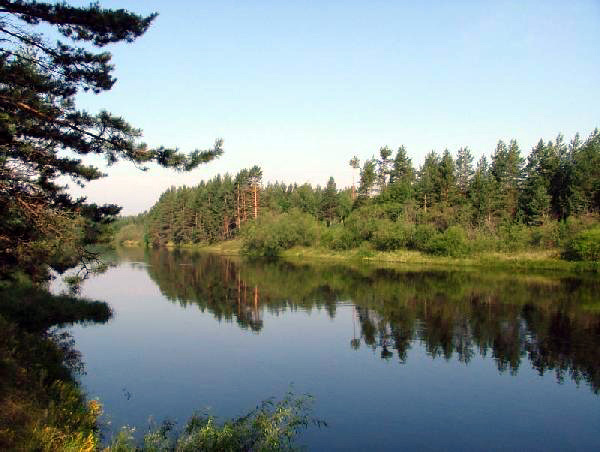 река Лух в Вязниковском районе Владимирской области фото vgv