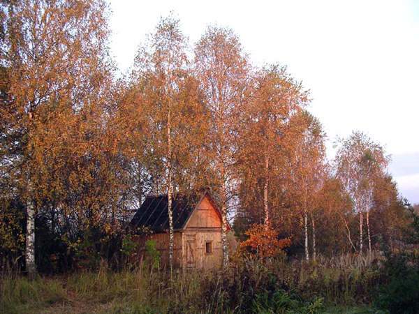 деревня Алабухино в Александровском районе Владимирской области фото vgv