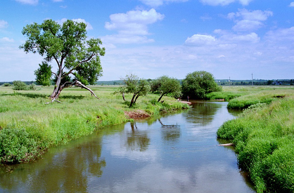 река Шерна (приток Клязьмы) в Александровском районе Владимирской области фото vgv