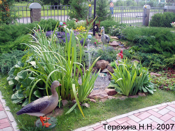 Декоративный водоем с искусственными птицами в Гороховецком районе Владимирской области фото vgv