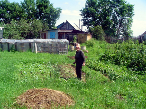 Рождествено деревня в Гороховецком районе Владимирской области фото vgv