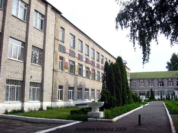 Гусевский стекольный колледж в Гусевском районе Владимирской области фото vgv