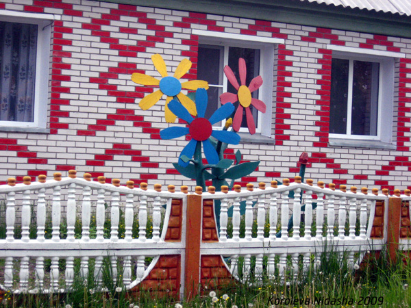 Чудо-цветочки в палисаднике в Гусевском районе Владимирской области фото vgv