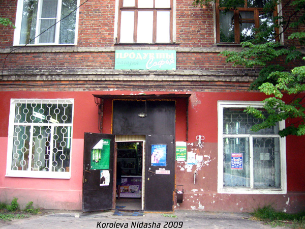 Магазин продуктов Софья в Гусевском районе Владимирской области фото vgv