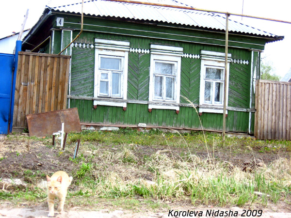 Рыжий мини-тигр - хозяин дороги в Гусевском районе Владимирской области фото vgv