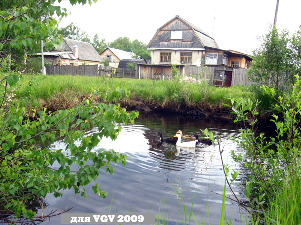 пруд в Гусевском районе Владимирской области фото vgv