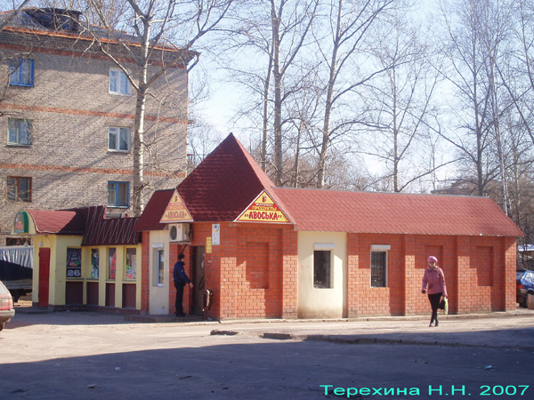 магазин продуктов Авоська на улице Красных Партизан 72 в Гусевском районе Владимирской области фото vgv