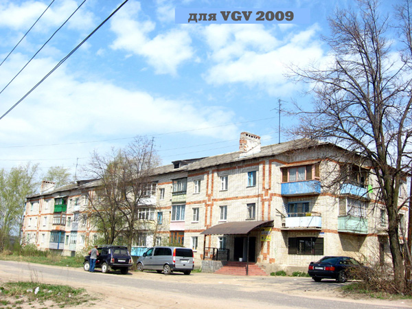 м-н Витязь в Гусевском районе Владимирской области фото vgv