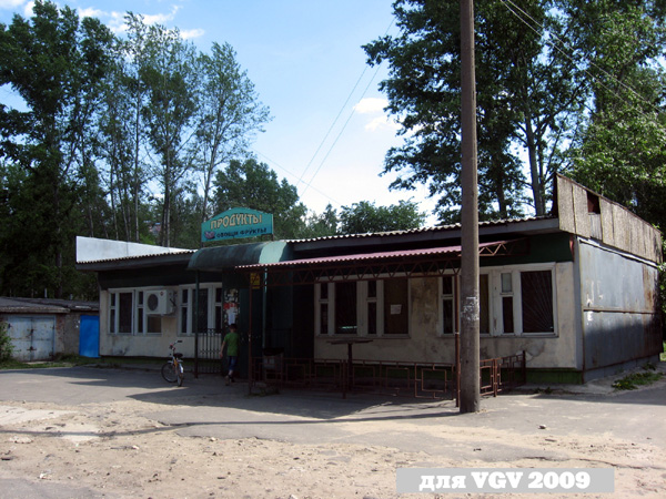 магазин Продукты на Менделеева 23а в Гусевском районе Владимирской области фото vgv