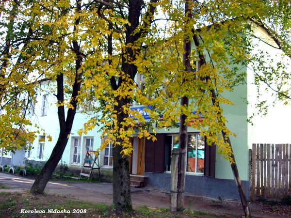 город Камешково Долбилкина улица 5 в Камешковском районе Владимирской области фото vgv