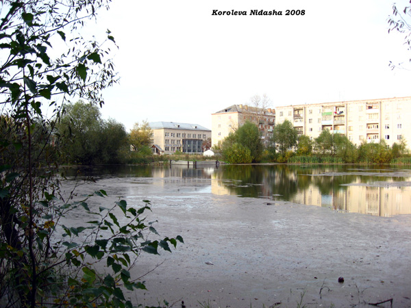 пруд на ул. Дорофеичева в Камешковском районе Владимирской области фото vgv