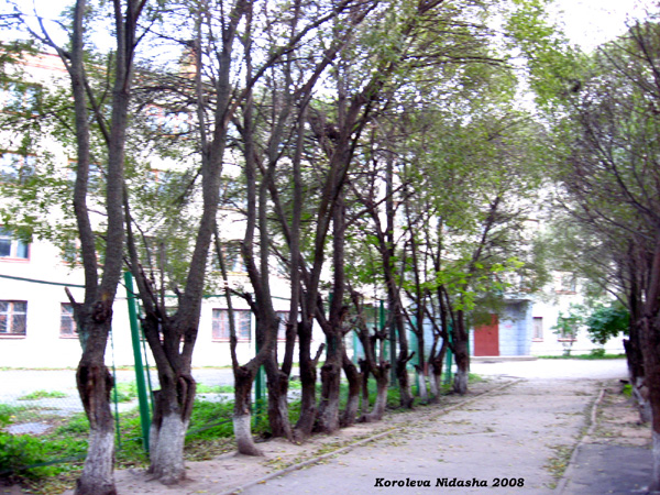 Профессиональное училище N 45 г. Камешково в Камешковском районе Владимирской области фото vgv