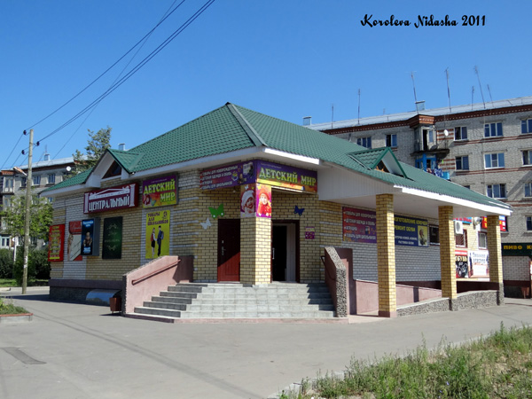 Торговый дом Центральный в Камешковском районе Владимирской области фото vgv