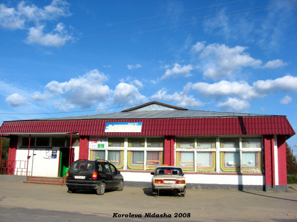 продуктовый магазин Мария в Камешковском районе Владимирской области фото vgv