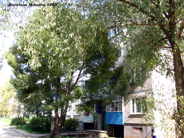 город Камешково Смурова улица 9 в Камешковском районе Владимирской области фото vgv