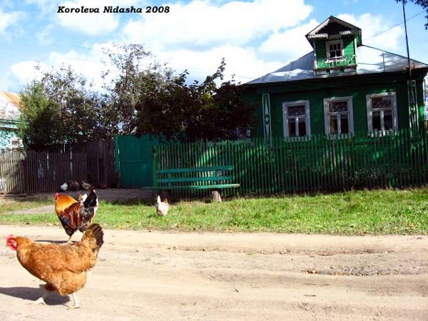 курочки у дома в Камешковском районе Владимирской области фото vgv