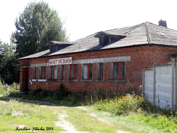 Магазин поселка Фрунзе в Камешковском районе Владимирской области фото vgv