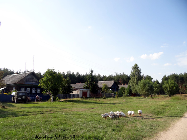 Щекино деревня в Камешковском районе Владимирской области фото vgv