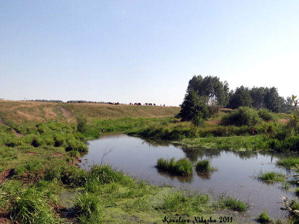 река Тольша в Камешковском районе Владимирской области фото vgv