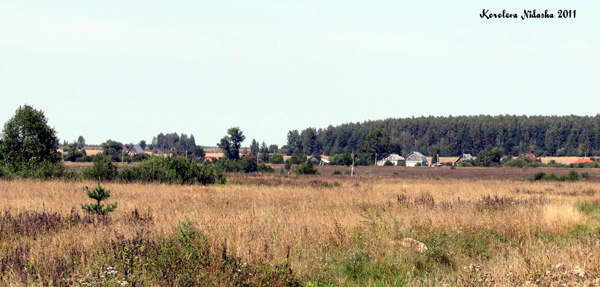 Зауичье деревня в Камешковском районе Владимирской области фото vgv