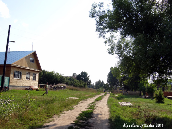 деревня Ивишенье в Камешковском районе Владимирской области фото vgv