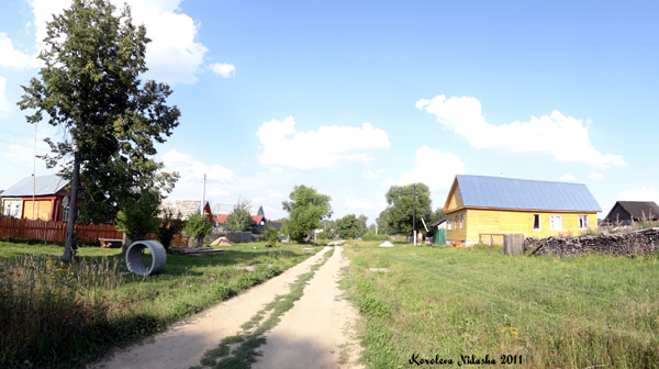 деревня Ивишенье в Камешковском районе Владимирской области фото vgv