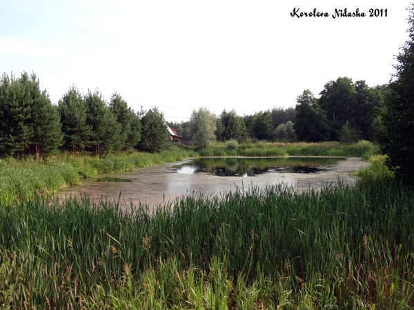 пруд в деревне Кижаны в Камешковском районе Владимирской области фото vgv