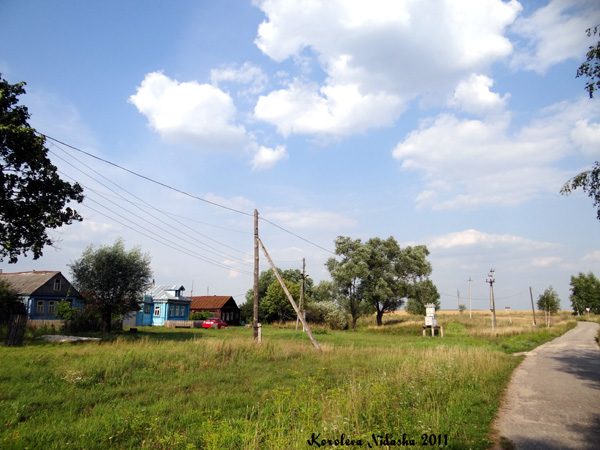 деревня Куницыно в Камешковском районе Владимирской области фото vgv