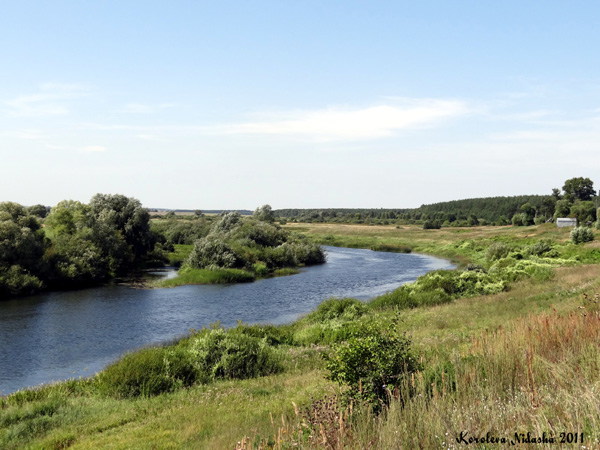 Река Нерль в окрестностях д. Нерлинка в Камешковском районе Владимирской области фото vgv