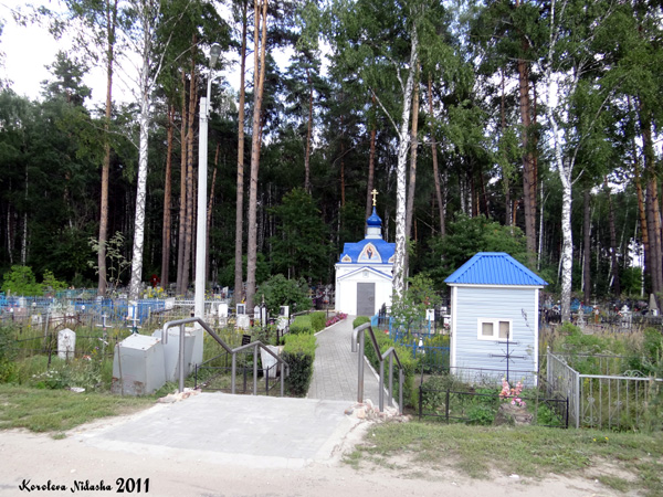 Неизвестная часовня XIX в. на кладбище д. Новая Быковка в Камешковском районе Владимирской области фото vgv