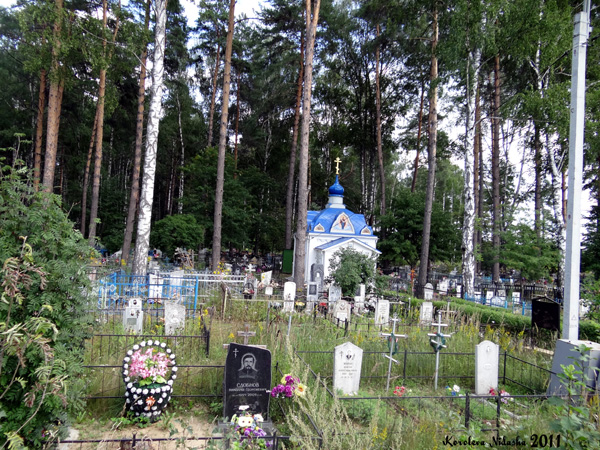 кладбище деревни Новая Быковка в Камешковском районе Владимирской области фото vgv