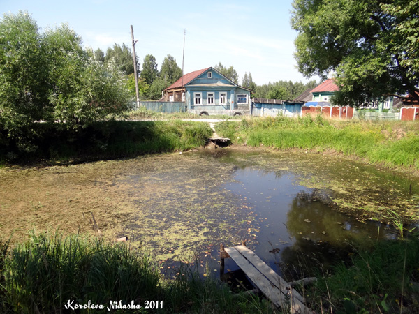 пруд в деревне Берково в Камешковском районе Владимирской области фото vgv