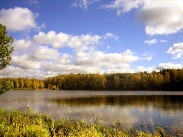 Мельничный пруд - запруда на реке Черной в д. Пирогово в Камешковском районе Владимирской области фото vgv