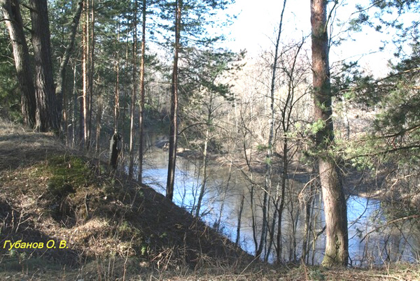 река Киржач выше д.Финеево в Киржачском районе Владимирской области фото vgv