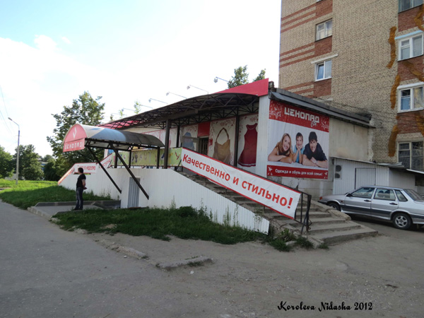 Магазин Ценопад на улице Алексеева 1а в Кольчугинском районе Владимирской области фото vgv
