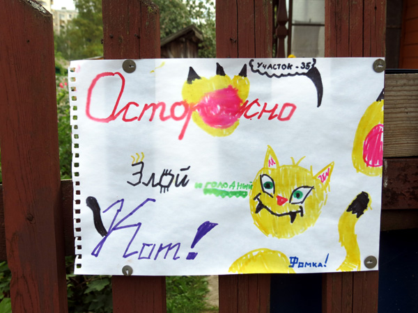 Злой кот Фомка в Кольчугинском районе Владимирской области фото vgv