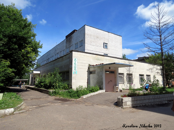 Кольчугинская центральная районая больница в Кольчугинском районе Владимирской области фото vgv